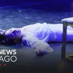 (VIDEO) Mačka ukrala šou tokom baleta "Romeo i Julija"