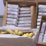 Traži se vlasnik više od tone kokaina