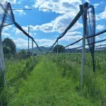 (FOTO) Instalirano pet stanica za monitoring zemljišta u okviru ECOBASE projekta