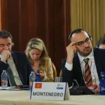 Stjepović učestvovao na NATO Parlamentarnom samitu u Istanbulu: Jedinstvo je ključ bezbjednosti