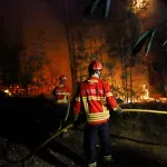 Požari na jugu Francuske: Preko deset hiljada ljudi evakuisano