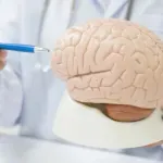 Nova studija: Evo šta učenje stranog jezika radi mozgu