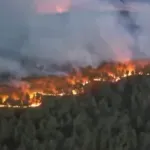 Najveći šumski požar u Španiji ove godine: Evakuisano više od 1.100 ljudi