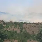 Požar u Bratonožićima: Gori u Potkršu