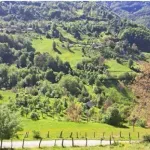 Od zločina u Velici 82 godine