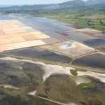 Green home: Solana dobija upravljača, a Velikoj plaži potvrđen status zaštićenog područja
