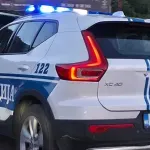 Auto udario kravu na putu Cetinje - Budva: Muškarac povrijeđen, životinja uginula