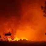 Evakuisano 20.000 ljudi zbog šumskog požara