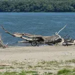 Evropa se suši: Dunav i Rajna obaraju neslavne rekorde