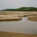 Nizak vodostaj rizikuje zaustavljanje saobraćaja na Rajni