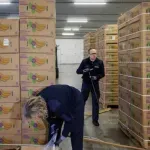 U britanskoj luci pronađeno 2,9 tona kokaina skrivenog u kutijama banana