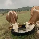 Farmeri traže hitnu reakciju države