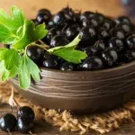 Istraživanja otkrila zanimljiv efekat crne ribizle na metabolizam i krvne sudove