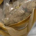 Uhapšen Podgoričanin: U paketu deklarisanom kao „džemper“ pronađeno oko 600 grama marihuane