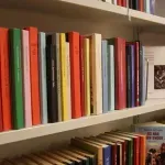 Milioni knjiga uništeni zbog vještačke inteligencije: Anthropic ih skenirao, a zatim fizički uništavao