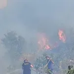 (VIDEO) Požar u Klopotu: Vatra daleko od kuća