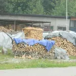 Berane i ove zime bez centralnog grijanja: Radijatori hladni, grad će grijati jedino na drva i pelet