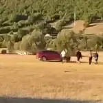 Potraga za vozačem koji je autom gazio ljude u Bileći, dvoje uhapšeno