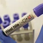 Virus Zapadnog Nila potvrđen u Hrvatskoj: Troje oboljelih tokom ljeta