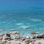 Zabrana kupanja u Donjoj Lastvi, pronađene bakterije ešerihija koli i enterokoki