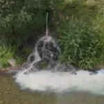(VIDEO) NVO Euromost: Nepoznata bijela tečnost direktno se izliva u rijeku Lim, prijeti novi pomor ribe
