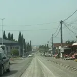 (VIDEO) Zasadiće 103 stabla čempresa, košćele i liriodendrona