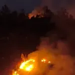 Posljedice klimatskih promjena sve izraženije: Suša rasplamsava požare i desetkuje prinose