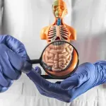 Gastroenterolog otkrio jednostavnu večernju rutinu za zdravlje crijeva