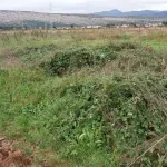 Vlasnici zemljišta traže podršku za DUP "Sadine"