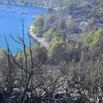(FOTO) Veliki požar na Braču: Oštećeni objekti, 700 ljudi evakuisano