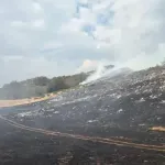 Požar kod Prage ne jenjava, gori i na Lukavici