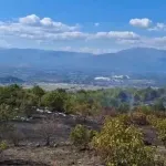 (VIDEO) Požar u Piperima: Gori ka Ćeliji Piperskoj