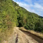 Asfalt ključ za razvoj turizma i opstanak stanovništva u Andrijevici
