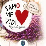 Moja mala pjesma