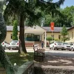Za direktora preduzeća "Crna Gora šume" dovoljna bečelor diploma