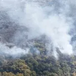 (VIDEO) Požar u Tuzima: Gori Pothum