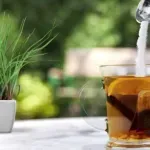 Koji čajevi mogu biti dobar izbor za imunitet? Šest najboljih napitaka za hladne dane