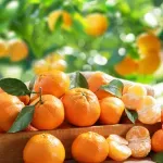 Mandarine nisu samo ukusne: Pomažu imunitetu, srcu i održavanju tjelesne težine