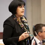 Ćinćur: Mandićev potez za osudu, ali rušenje parlamentarne većine ugrozilo bi evropski put
