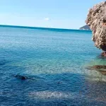 Morska voda odličnog kvaliteta na 75,3 odsto kupališta