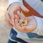 Kako sigurno uvesti orašaste plodove u ishranu vašeg djeteta i na šta posebno obratiti pažnju