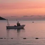 I sjutra sunčano i toplo, do 28 stepeni