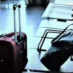 (VIDEO) Muškarac na aerodromu zaustavljen s koferom punim živih guštera i otrovnih zmija