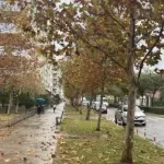 Sjutra oblačno, povremeno kiša