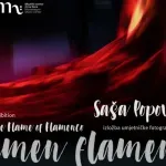 "Plamen flamenka" u Muzičkom centru