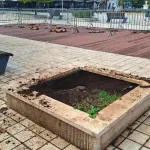 Čopori pasa ugrožavaju Nikšićane i uništavaju gradsko zelenilo