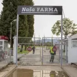Voli: Iković i Dragićević nasilno ušli na posjed "Naše farme", presječena zaštitna ograda i ugrožene biosigurnosne mjere