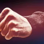 Tuča na sastanku Savjeta MZ Župa: Uhapšen osumnjičeni za nasilničko ponašanje