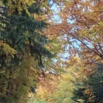 U srijedu uglavnom suvo i sunčano, uz udare vjetra