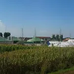 Ministarstvo: Počinje druga faza razvoja biomase u Srbiji u vrednosti 31,9 miliona evra